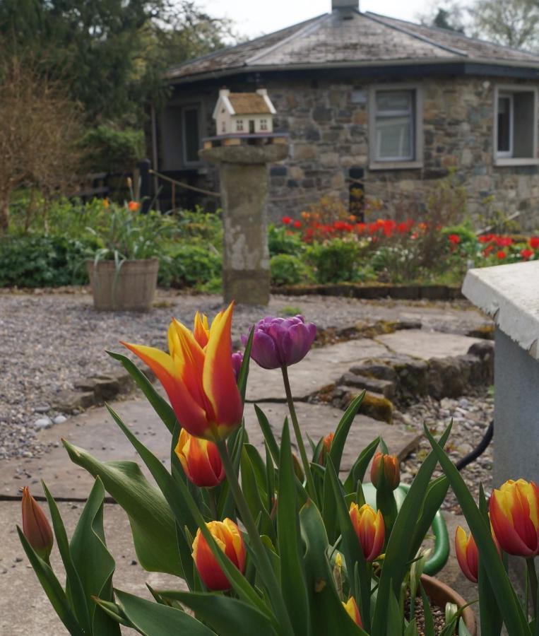Appartamento The Old Rectory Donard Dun Ard Esterno foto