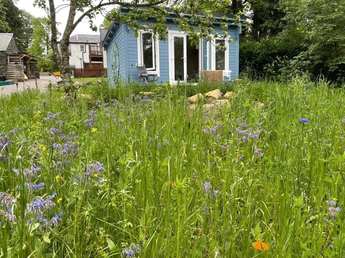 Appartamento The Old Rectory Donard Dun Ard Esterno foto