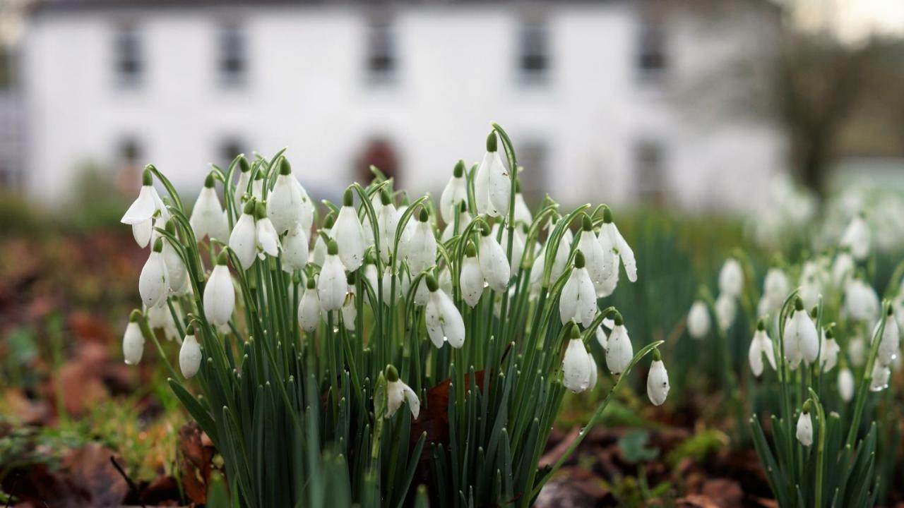 Appartamento The Old Rectory Donard Dun Ard Esterno foto